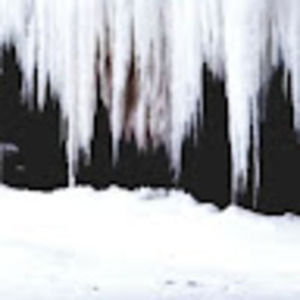 Meet your Posher, Lenard